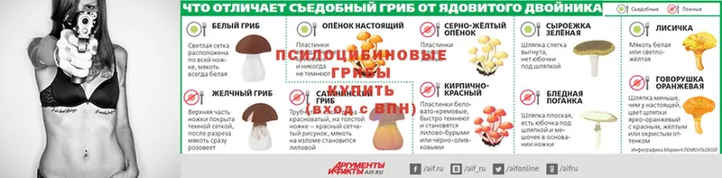 сколько стоит  Курганинск  Псилоцибиновые грибы мухоморы 